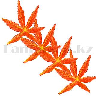 Жапон кискасының суреті Жапон кискасының суреті