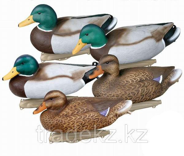 Набор подсадных уток FLAMBEAU PREMIUM MALLARD (2+1+1+1+1=6 шт.)