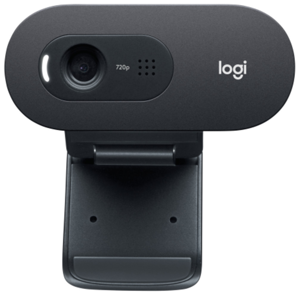 Веб камера Logitech C505e 960-001372