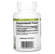 Natural Factors, Herbal Factors, Olive Leaf, 500 mg, 60 Capsules, фото 2