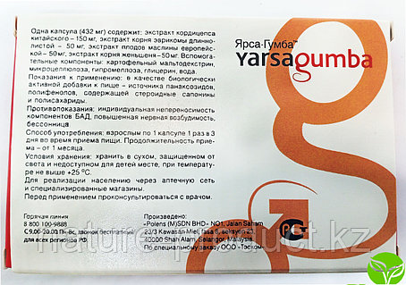 Әдемі кискалардың порносы