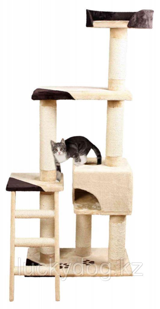 Trixie 165 см, плюш, бежевый/коричневый Когтеточка домик для кошки Montoro - фото 3 - id-p18738565