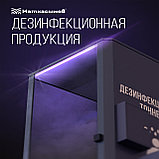 Дезинфекционный тоннель DezBox P5, фото 2