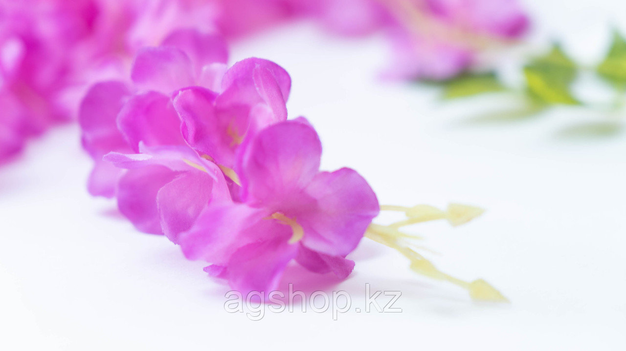 Глициния цветущая (пурпурная), тканевая - фото 4 - id-p93833062