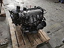 Двигатель G4ED Hyundai/ Kia 1.6л 105-112л.с., фото 3