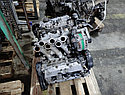 Двигатель Kia Carnival 2.5л 150-165 л.с. K5 / K5M, фото 5