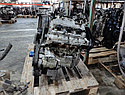 Двигатель Kia Carnival 2.5л 150-165 л.с. K5 / K5M, фото 6