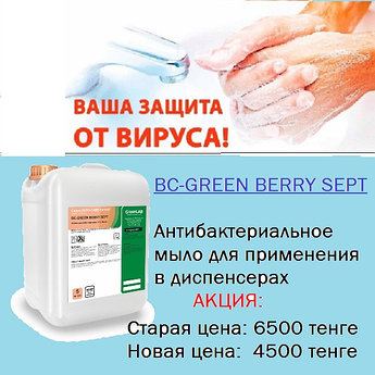 Антисептическое гелеобразное средство BC-GREEN BERRY SEPT 5л.