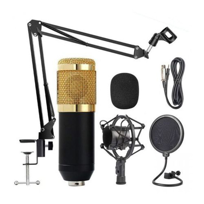 Студийный микрофон BM-800 - фото 1 - id-p93874603