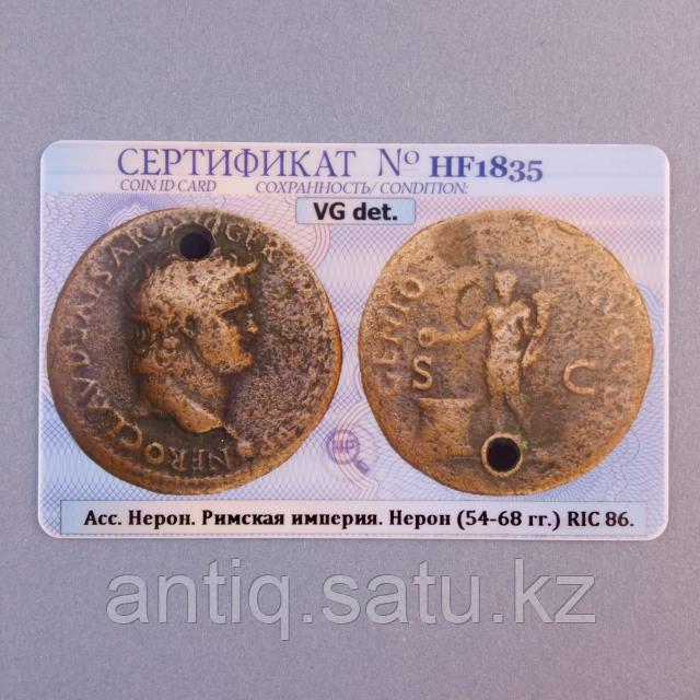 Үлкен мүшесі бар бамблбилер порно видео