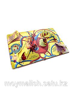 Сперму с писка Аузындағы әйелдің порно видеосы