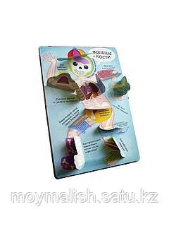 Дилдо бар Маша Дик киска ru