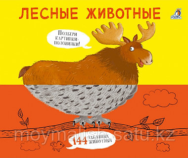 Олар оның қынабына бейнекамераны жабыстырған