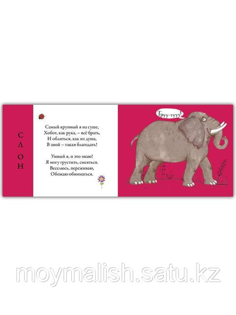 Астраханьдағы қос жынысты жұптар