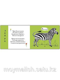 HD порно соратын клиторларды қараңыз Шейла Стайлс суреті