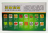 Порошок гриба рейши при диабете  " Huo Yi Wen Tang" 12 капсул, фото 2