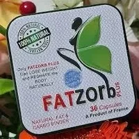 Fatzorb для похудения