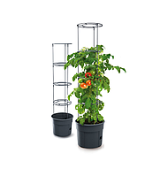 Горшок для выращивания томатов Tomato Grower 2в1 | Prosperplast