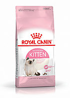 Royal Canin Kitten ( Роял Канин для Котят от 4 до 12 месяцев)