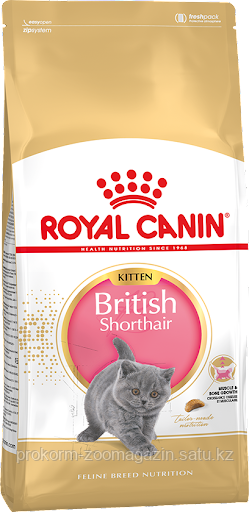 Royal Canin Kitten British Shorthair (Роял Канин для котят британской короткошерстной породы), 10 кг - фото 1 - id-p93971632