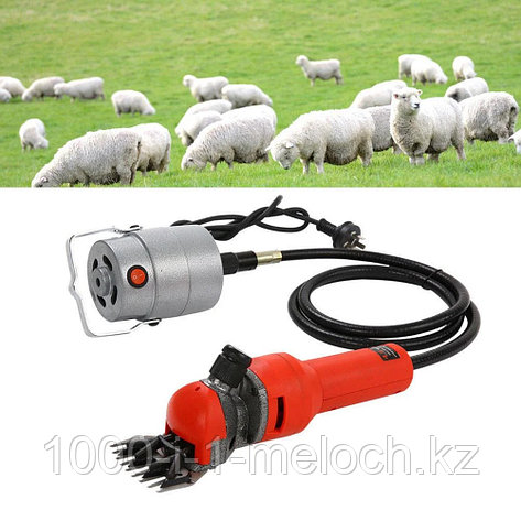 Профессиональная машинка для стрижки овец, фото 2