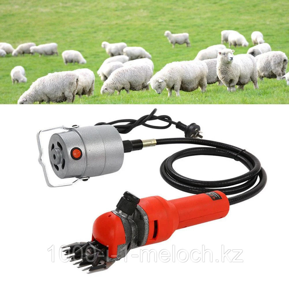 Профессиональная машинка для стрижки овец - фото 2 - id-p93988517