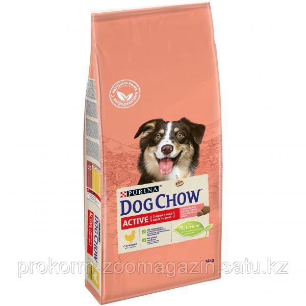 Сухой корм Dog Chow® для активных взрослых собак, курица - фото 1 - id-p93989120