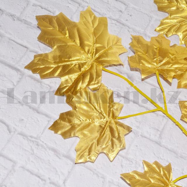 Кастингтегі жалаңаш модельдер