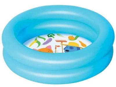 Бассейн Bestway 499379