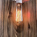 Лампочка с нитью накаливания ,теплый оттенок, 40 вт, фото 2