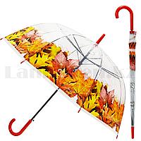 Зонт трость полуавтомат прозрачный 80 см с каплями дождя и кленовыми листьями оранжевыми