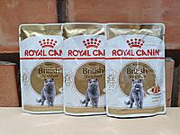 ROYAL CANIN British Shorthai ( Роял Канин для кошек британской короткошерстной породы) в соусе, пауч 85 гр