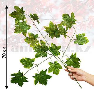 Нағыз балапандармен жыныстық қатынас