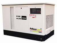 Газовый генератор BNL12SE 15 кВт