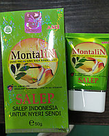 Мазь для лечения болезней суставов, мышц, костей Montalin (Монталин) (Индонезия)