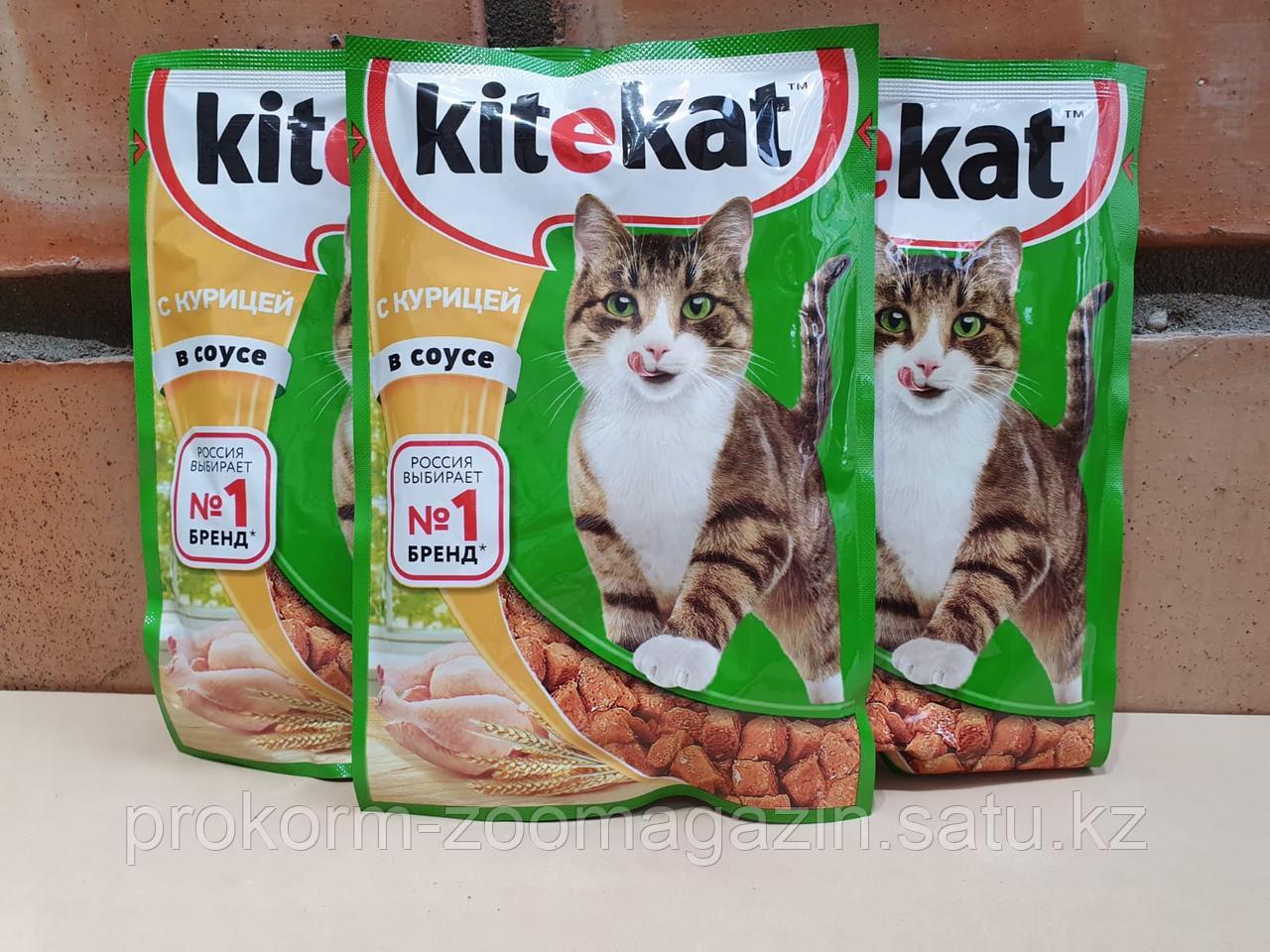 KITEKAT ( Китекет) для взрослых кошек с курицей в соусе, пауч 85 гр - фото 1 - id-p94036870