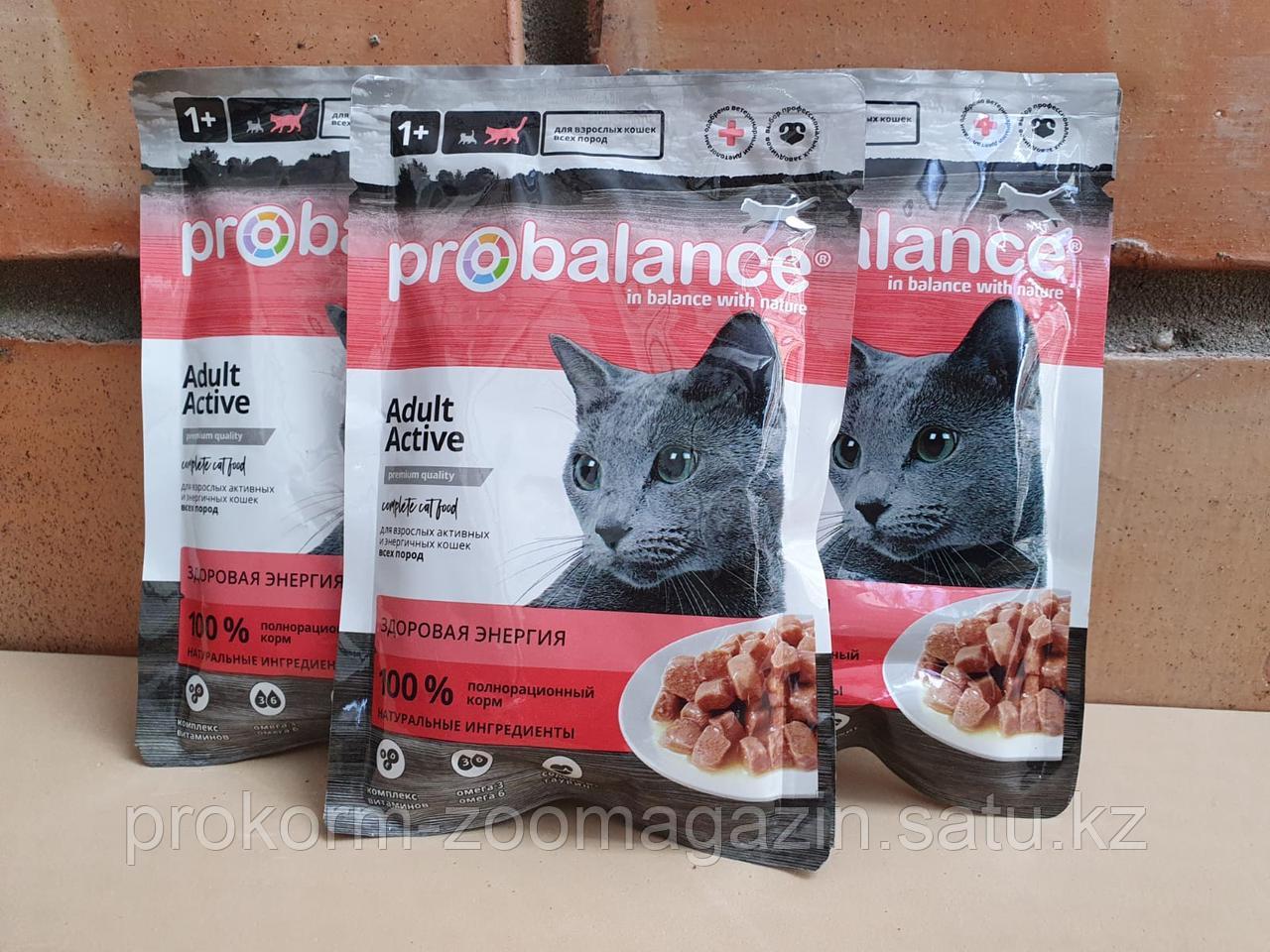 Probalance Корм Для Кошек Влажный Купить