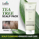 Маска-пилинг для кожи головы с чайным деревом Lador Tea Tree Scalp Hair Pack, фото 2