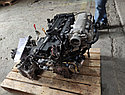 Двигатель G4ED Hyundai/ Kia 1.6л 105-112л.с., фото 4
