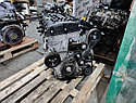 Двигатель G4KA Hyundai \ Kia 2.0 л 140 л/с, фото 7