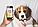 GPS трекер для собак  Wonlex Pet Tracker PT02, фото 5