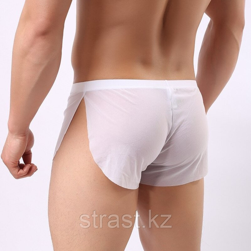 Трусы мужские прозрачные Ice Silk (белые)