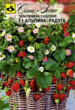 Семена земляники Альпина Радуга F1 (Нидерланды), фото 1