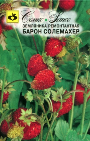 Семена земляники Барон Солемахер (Чехия)