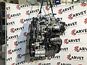 Двигатель D4EA Kia Sportage 2.0 112-140 л.с, фото 3