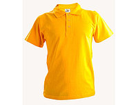 Футболки поло Berkut