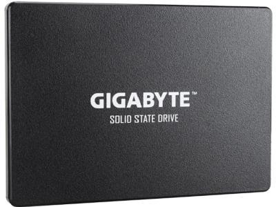 GIGABYTE GP-GSTFS31256GTND 256Gb Black
