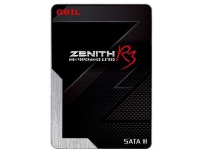 Geil GZ25R3 120Gb