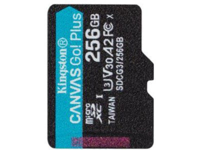 Карта памяти Kingston Canvas Go Plus SDCG3 256GBSP 256GB