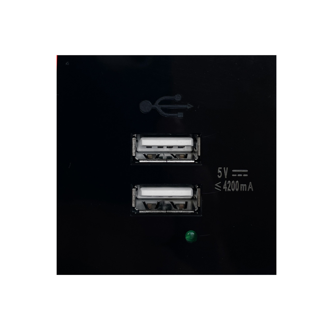 Shelbi Розетка зарядка 2- портовая USB, 4.2A, 45х45, чёрная - фото 3 - id-p94306691